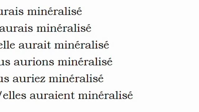 Изучение французского языка = Спряжение глаголов = Minéraliser