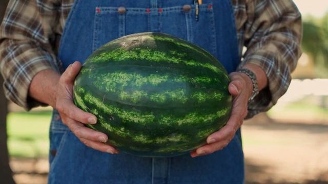 What Is The Benefits Of Watermelon? | Watermelon Nutrition