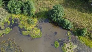 24.08.2024 Идовка, поиск рыболовного места