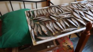 Рецепт сушеного зубаря, корюшки с комментариями