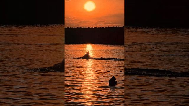 Озеро, вечер, лето. #sunset #lake #summer #love #couple #water #beach #seaside смотреть онлайн