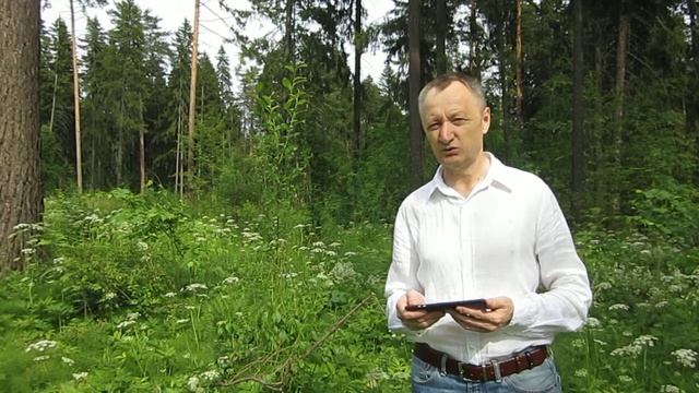 Ценности человека