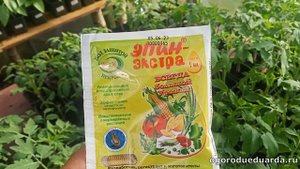 Как правильно использовать Эпин и Циркон для защиты рассады при возвратных заморозках