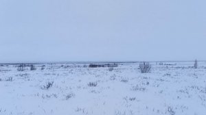 Подготовка к весенней гусиной охоте