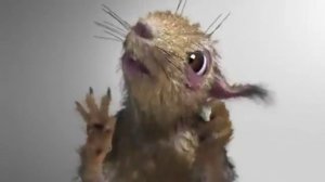 Белочка!  Кудяблики!!!