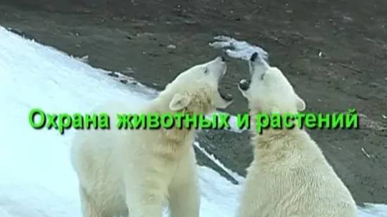 Охрана животных и растений