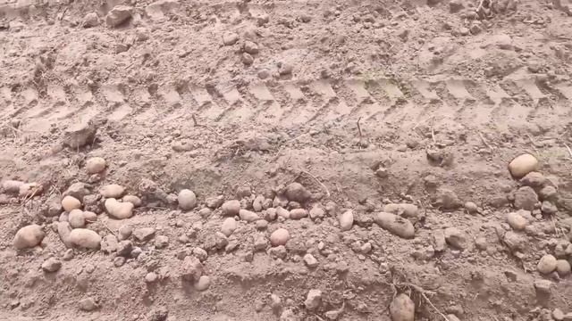 Як повела себе картоплекопачка Віракс через 4 роки експлуатації смотреть онлайн