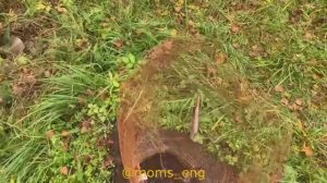 Начинающий аграрий