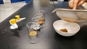 ALP project - Bio-plastic from banana peels
