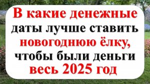 В какие денежные даты лучше ставить новогоднюю ёлку, чтобы были деньги весь 2025 год по народным при