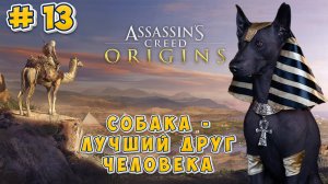 Assasins Creed Origins #13: Собака - лучший друг человека