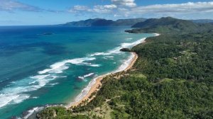 12417113_3840_2160_25fps