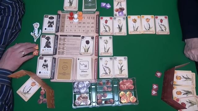 456 Тюльпаномания I Играем в настольную игру. Tulip Bubble board game. смотреть онлайн