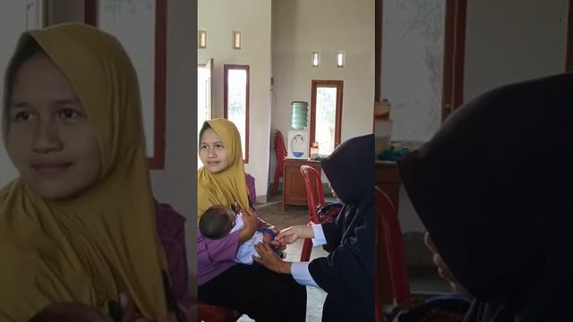 Imunisasi PVC смотреть онлайн