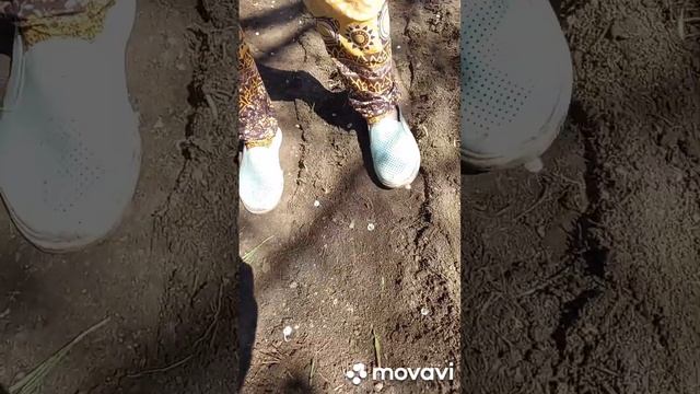 ПОСАДКА РУКОЛЫ В ОТКРЫТЫЙ ГРУН В 2023ГОДУ. ОГОРОД НА КУБАНИ. shorts# смотреть онлайн