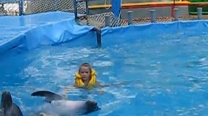 Плавание с дельфинами