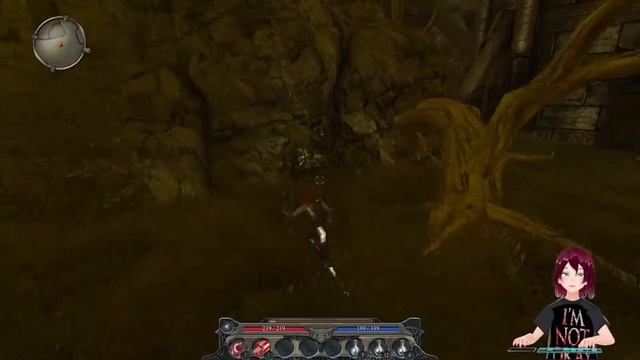 Прохождение divinity 2 developers cut. Прохождение divinity 2 developers cut