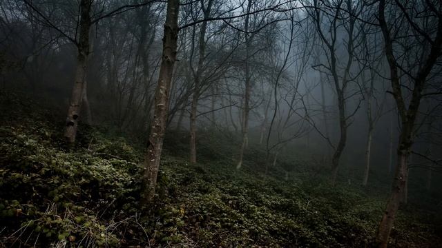 Красивая музыка для размышлений.