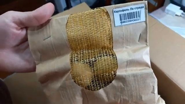 ОБЗОР ПОСЫЛКИ 7 СОРТОВ КАРТОФЕЛЯ ИЗ САДОВ РОССИИ. ОГОРОД НА КУБАНИ. shorts# смотреть онлайн