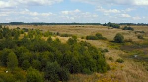 Аффирмации на спокойствие и исцеление нервной системы Избавление от тревоги и негативных программ