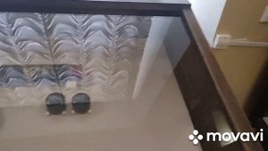 Интересные экспонаты в Кунсткамере. Часть 3.