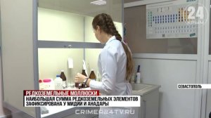 Открытие севастопольских учёных: как мидии и водоросли могут помочь в изготовлении электромобилей