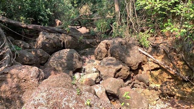 🏝️ИНДИЯ: куда ехать и что посмотреть на Гоа? смотреть онлайн