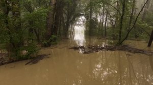 12399324_3840_2160_30fps