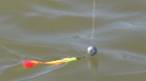 Октябрь Астрахань Первая вобла На рыбалку с женой Осенняя рыбалка 2021