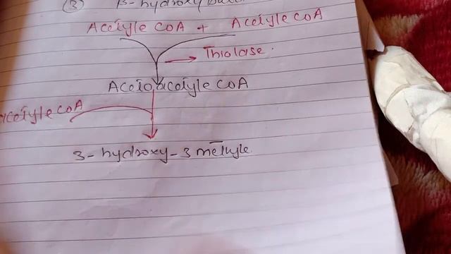 Ketones Body