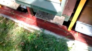 выход роя через ловушку для матки