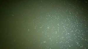 РЫБОЛОВНЫЙ ГЛЭМПИНГ В АСТРАХАНИ Летняя рыбалка в дельте Волги