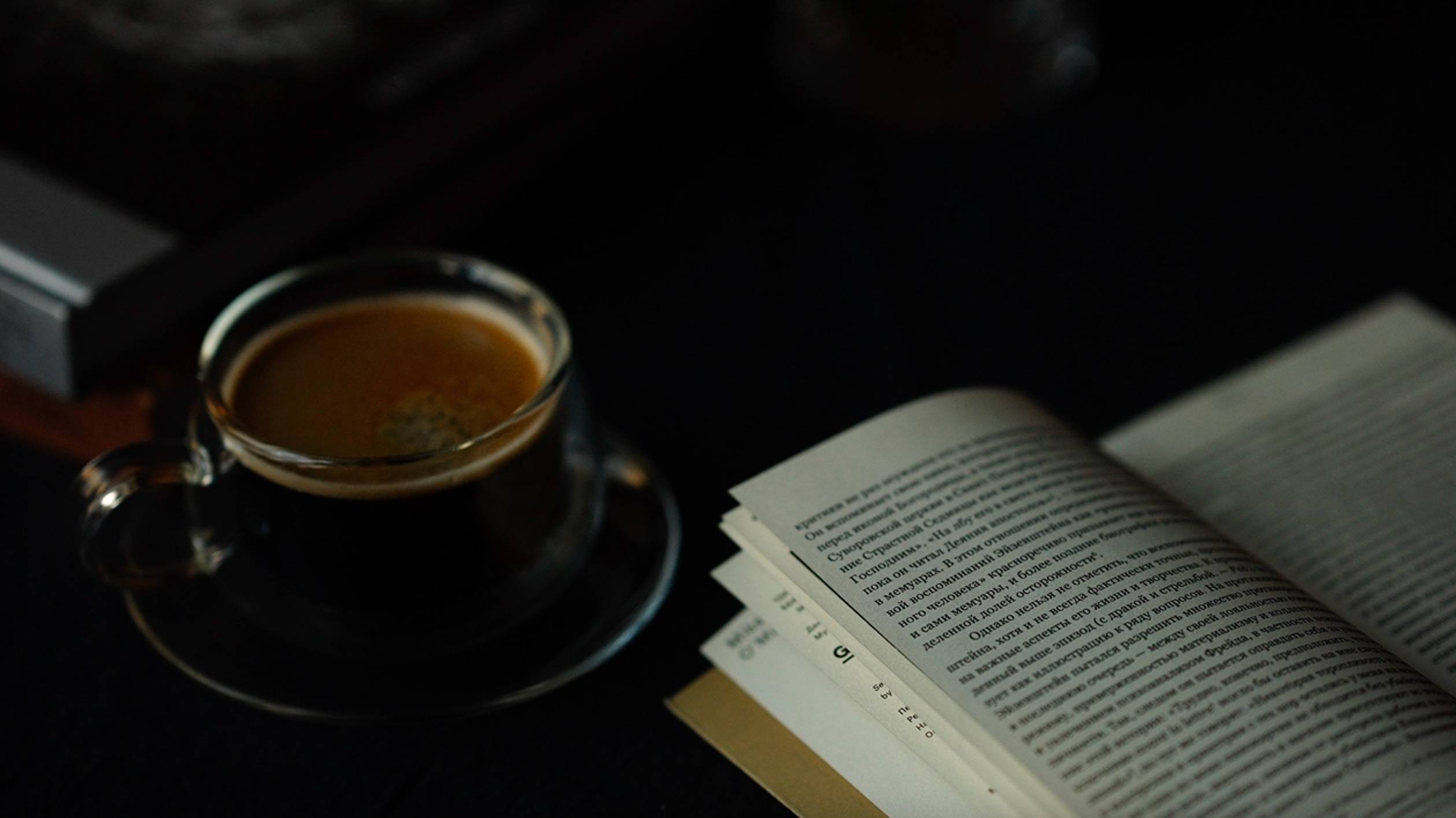 О книге Критические биографии / Сергей Эйзенштейн