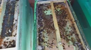 Эксперимент с зимней вентиляцией (верхняя или нижняя)