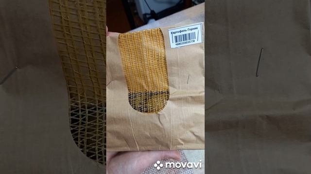 КАРТОФЕЛЬ ГОРНЯК ОТ САДОВ РОССИИ. ОГОРОД НА КУБАНИ. shorts# смотреть онлайн