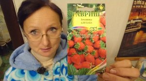 Видео привет с 6 соток 16 ноября 2024 года. Купила семена по дороге на огород.. Эустома, земляника,