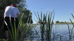 Рыбачка снова обловила Рыбалка в Астрахани на сазана