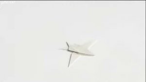 Аквариум   НАВИГАТОР