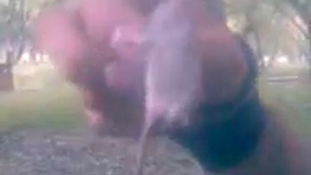 Подопытные крысы "особого отделa голубятника" смотреть онлайн