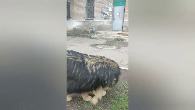 07.05.2022 г Бахмут, обстановка жесткая, шумно, смотри описание смотреть онлайн