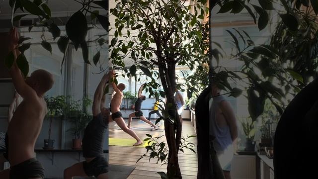 Led primary every Saturday 7:00 смотреть онлайн