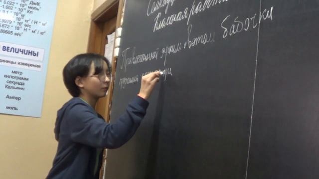 Урок русского языка 8 класс. Белая Людмила Павловна