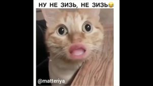 А все уже все, надо было раньше. Я звезда, а ты не звезда!