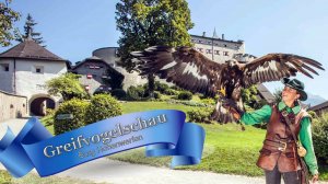 💕Рассказы о  🦅 птицах-охотниках  в Австрии Шоу хищных птиц.🦅 /Burg Hohenwerfen Greifvogelschau/.