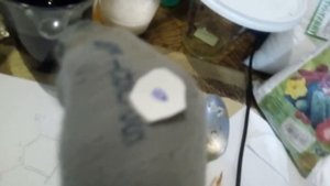 Изучаем вещество антоцианы вместе с Дарсиком