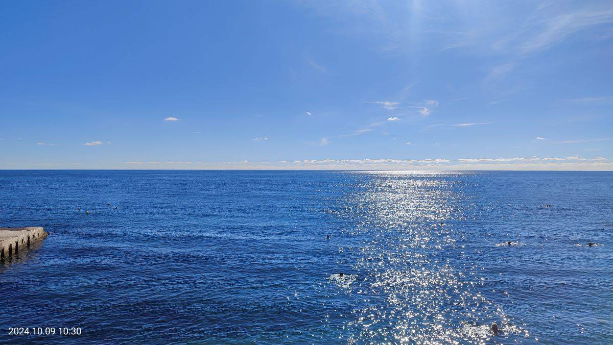 Дельфинов видите? А они есть. Октябрь 2024