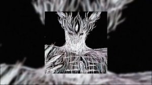 BEST PHONK GYM PLAYLIST #8