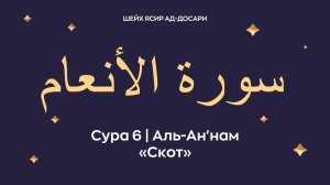 Сура 6 Аль-Ан'нам (араб. سورة الأنعام — Скот).
 Читает Шейх Ясир ад-Досари.