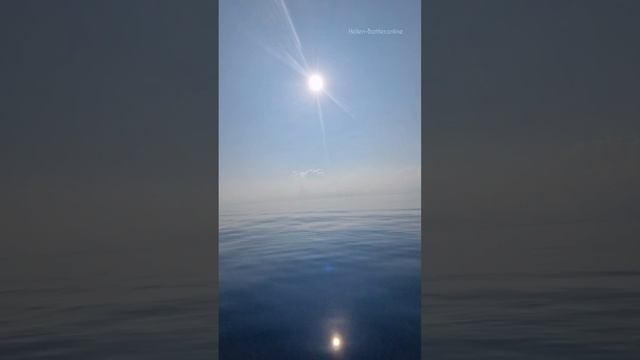 2️⃣9️⃣✨️Крайон. Послания Света на каждый 🌘 лунный день