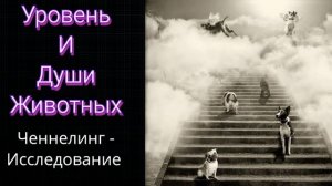 Ченнелинг.Уровень и Души Животных.Регрессивный гипноз.